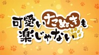 アニメ「可愛いたぬきも楽じゃない」第1話より。