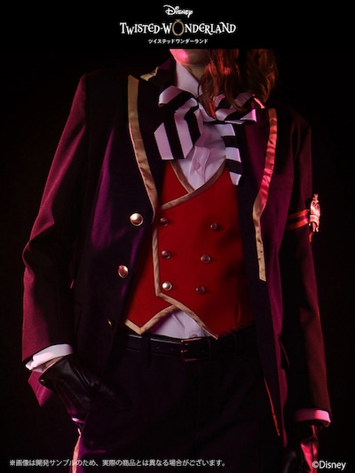 「ナイトレイブンカレッジ コスチュームセット」より、ハーツラビュル寮。