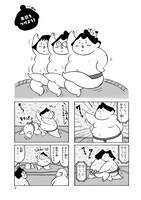 「ゆるい関」より。