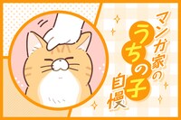 マンガ家“うちの子”自慢 第11回｜藤沢カミヤ