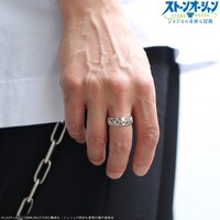 「ジョジョの奇妙な冒険 ストーンオーシャン メッシュリング／ナルシソ・A」使用イメージ