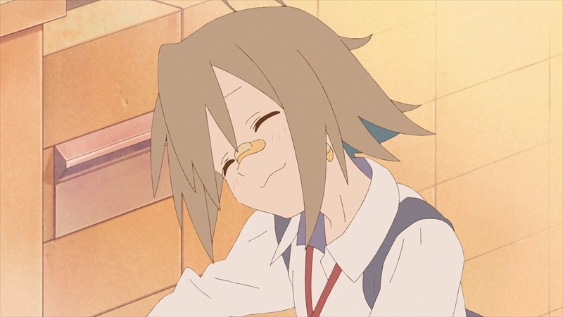せるふのキャラクターPVより。