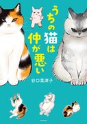 「うちの猫は仲が悪い」