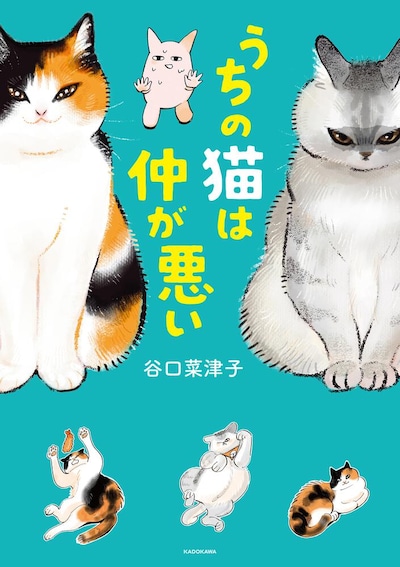 「うちの猫は仲が悪い」