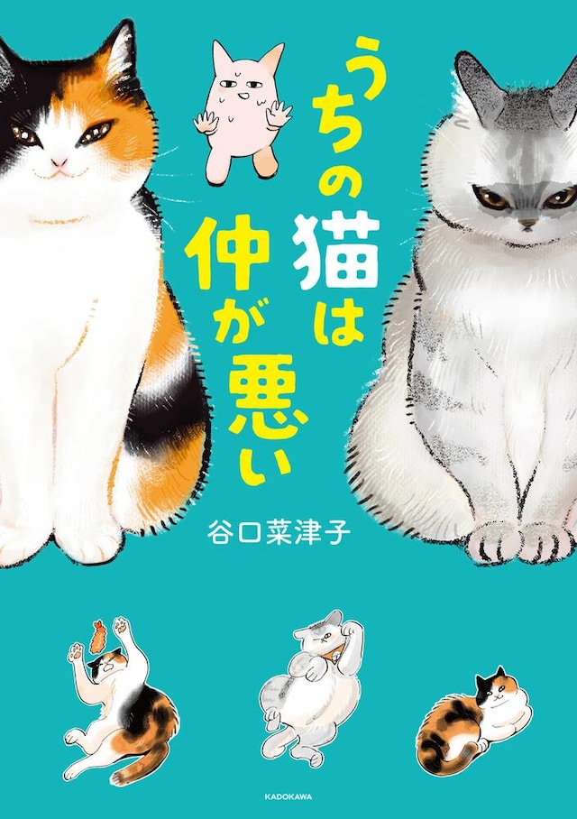 「うちの猫は仲が悪い」