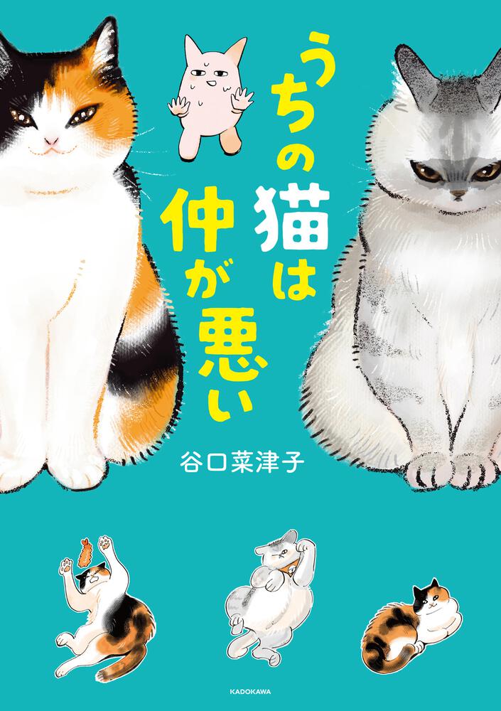 「うちの猫は仲が悪い」