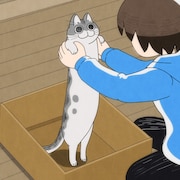 アニメ「夜は猫といっしょ」 “あまえモードMAX”なキュルガ描いた場面カット