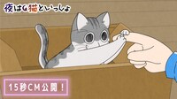 アニメ「夜は猫といっしょ」15秒CMより。