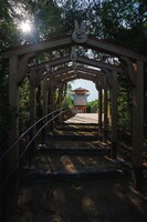 どんどこ森の「どんどこ堂」。