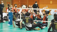 パラバレーボール（座位）のイメージ。