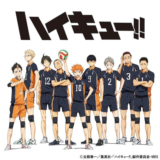 TVアニメ「ハイキュー!!」ビジュアル