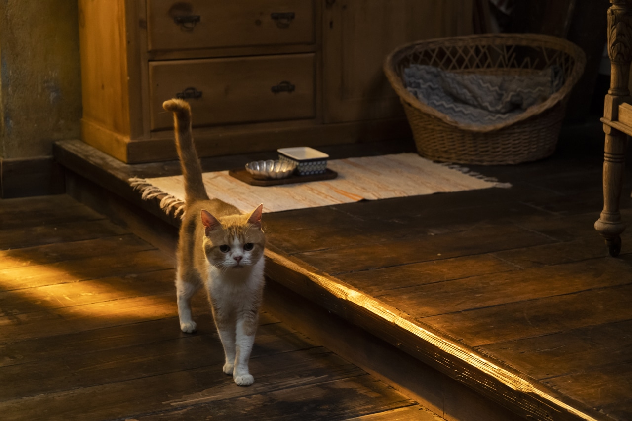 映画「耳をすませば」場面写真
