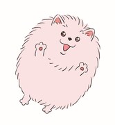 ポメ太郎（CV：水瀬いのり）。犯沢さんのペットであるポメラニアン。忠実で有能な共犯者（マーダーパートナー）を探していたが、フワフワでモフモフな愛くるしさに負けて迎え入れてしまう。米花町唯一の癒し的存在。