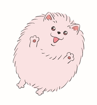 ポメ太郎（CV：水瀬いのり）。犯沢さんのペットであるポメラニアン。忠実で有能な共犯者（マーダーパートナー）を探していたが、フワフワでモフモフな愛くるしさに負けて迎え入れてしまう。米花町唯一の癒し的存在。