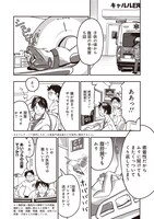 「キャルルCITYの文鳥医師団」より。