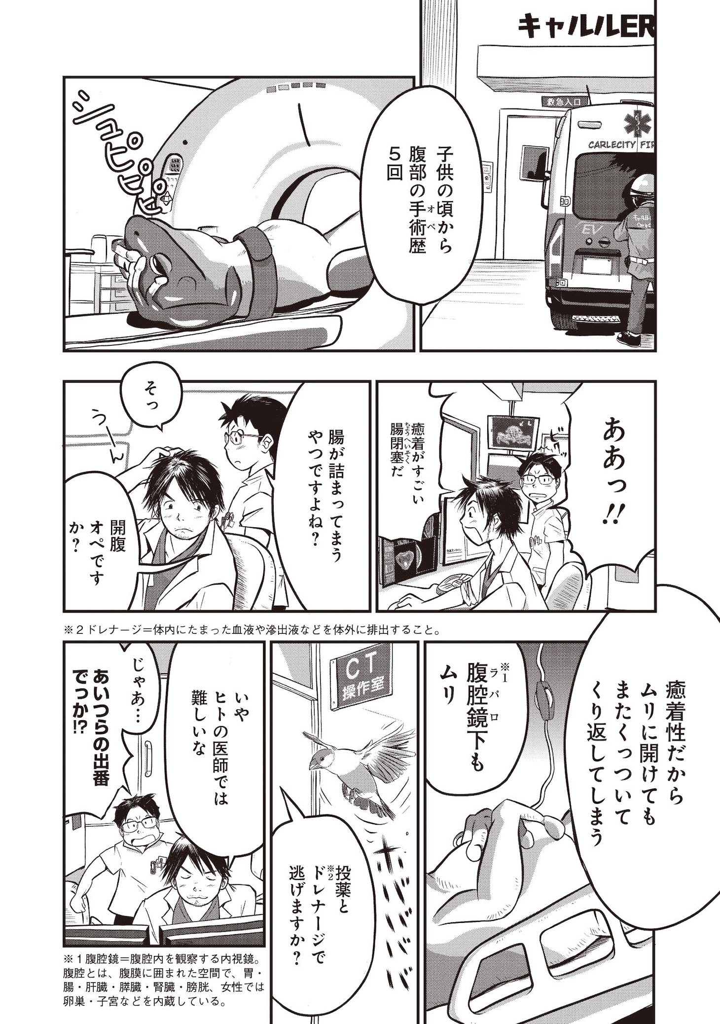 「キャルルCITYの文鳥医師団」より。