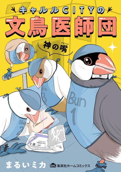 「キャルルCITYの文鳥医師団」