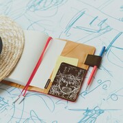 「麦わらのルフィ RED」の使用イメージ。