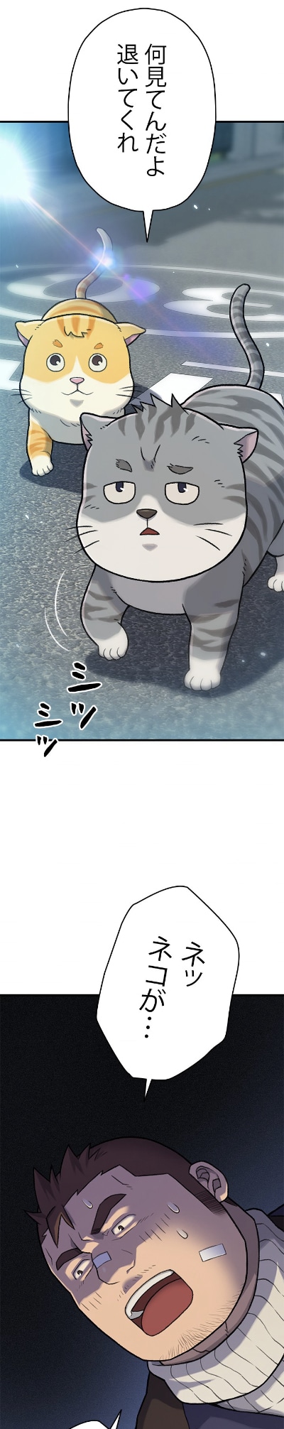 「虹の橋の番人～動物の声が聞こえる獣医～」より。