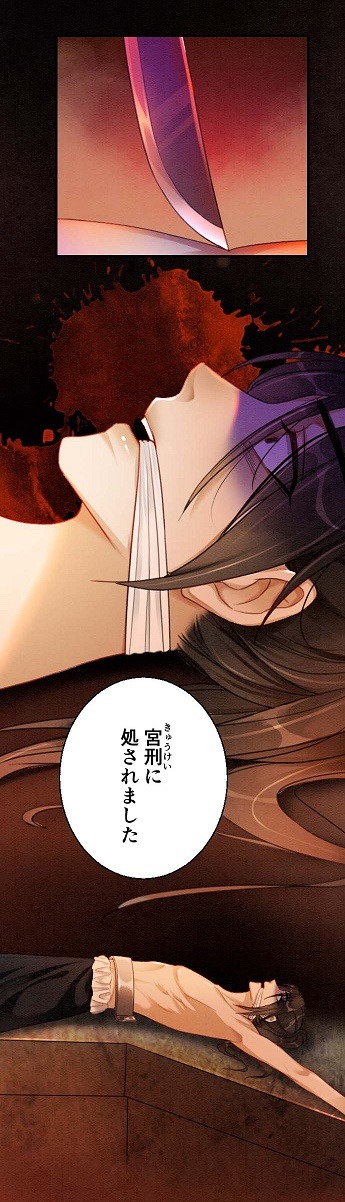 「無字の後宮―復讐の美姫―」より。