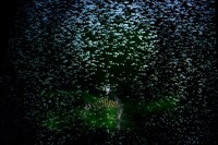 「VR能 攻殻機動隊」より。