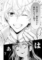 「貧乏男爵令嬢の領地改革～皇太子妃争いはごめんこうむります～」より