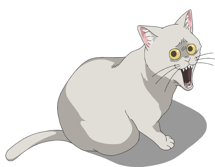 KUSO CAT