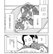 「ポッケの旅支度」より。