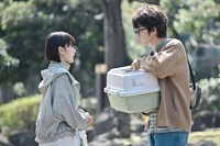 ドラマ「結婚するって、本当ですか」場面写真