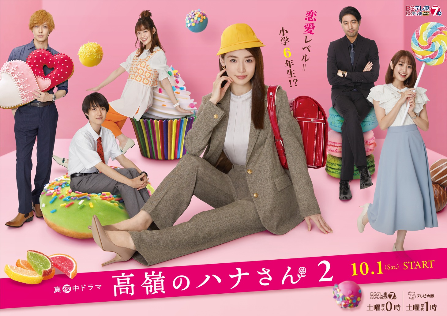 TVドラマ「高嶺のハナさん2」ポスタービジュアル