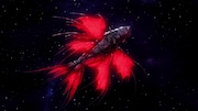「exception」より。
