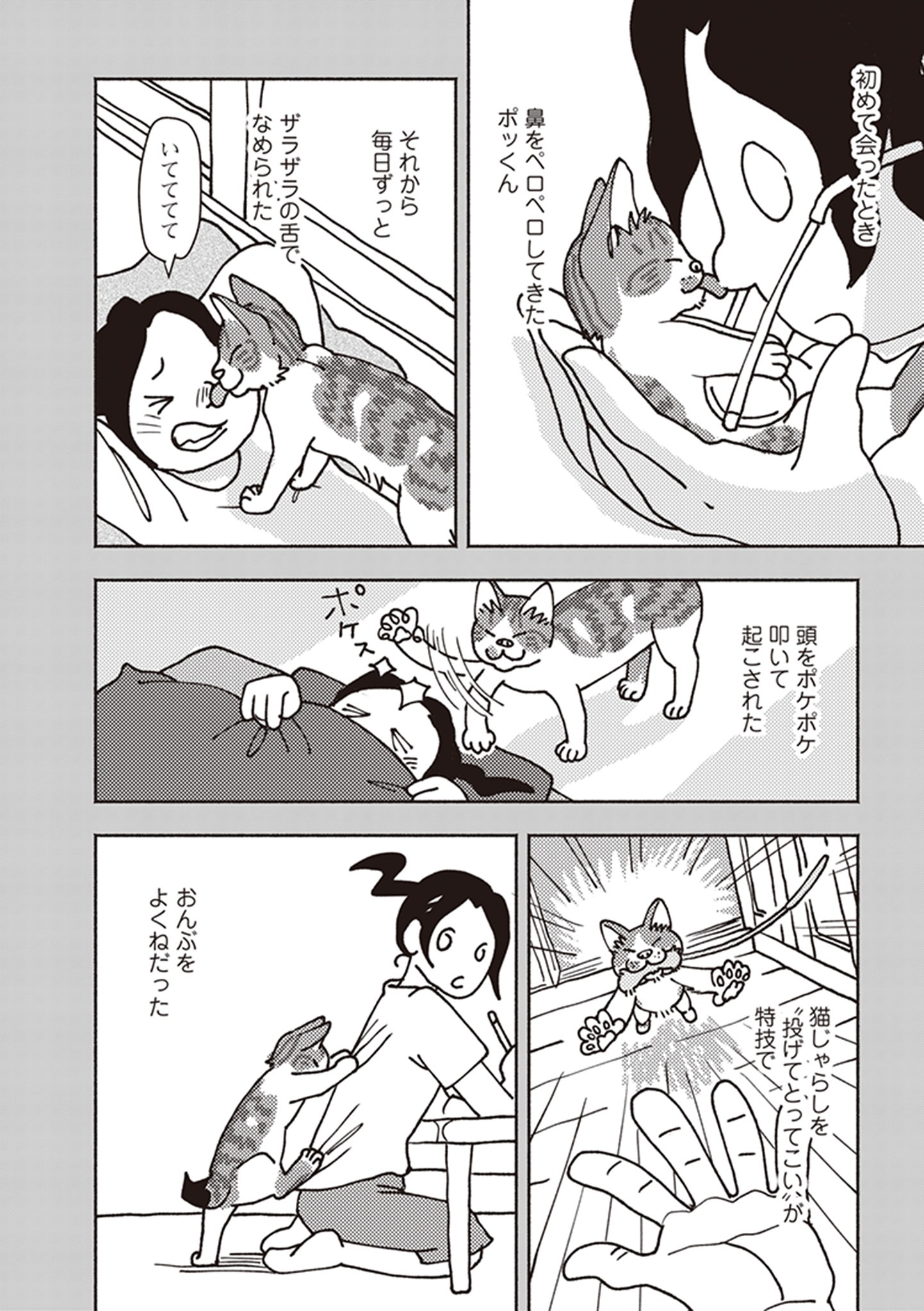 「ポッケの旅支度」より。