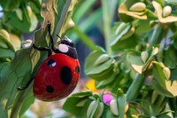 ジブリパーク「ジブリの大倉庫」より。