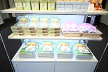 「金色のガッシュ!!と雷句誠原画展」の様子。