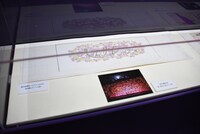 「【第2章】宝塚歌劇『ベルサイユのばら』」より。(c)宝塚歌劇団