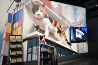 第25回文化庁メディア芸術祭のエンターテインメント部門では、 ソーシャル・インパクト賞として「新宿東口の猫」が選出された。新宿アルタ前広場、クロス新宿ビジョンの錯視3Dを利用した映像コンテンツだ。