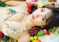 漫画アクション19号付録のクリアファイル（裏）。