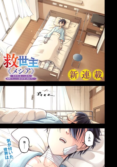 「救世主≪メシア≫～異世界を救った元勇者が魔物のあふれる現実世界を無双する～」より。
