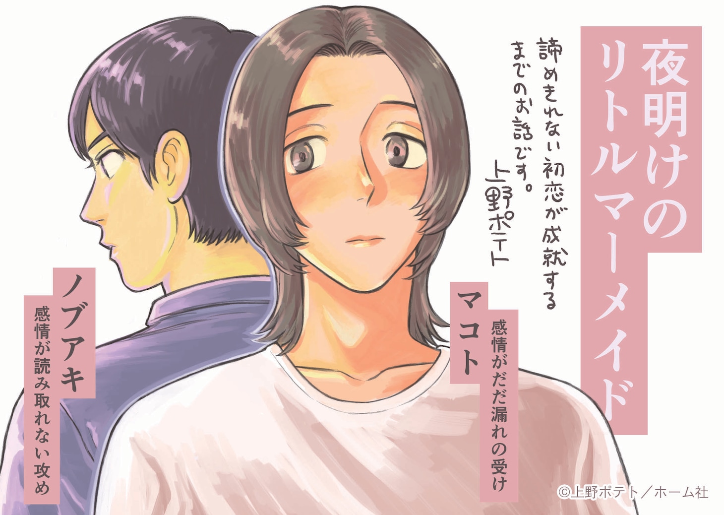 「夜明けのリトルマーメイド」POP