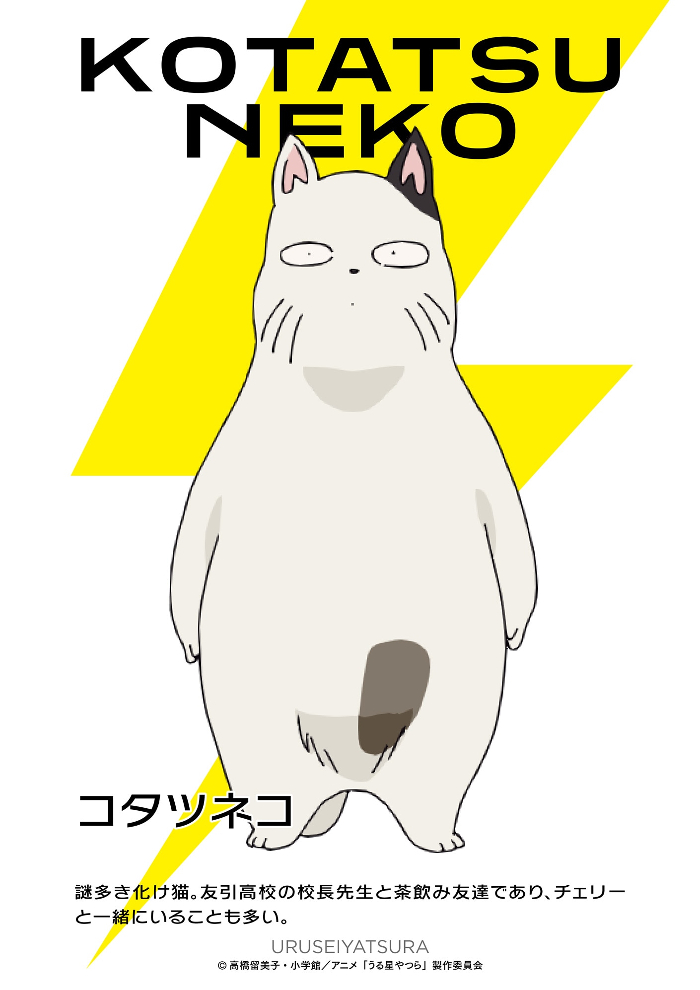 コタツネコ