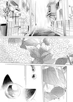 「手のひらねこ」第1話より。