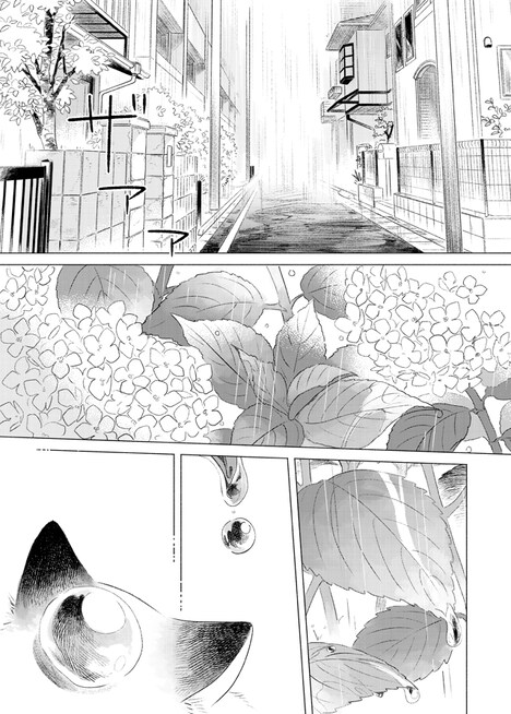 「手のひらねこ」第1話より。