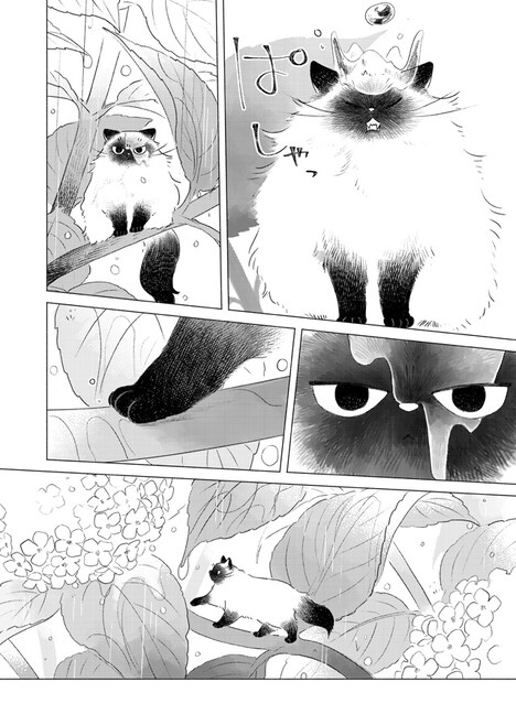 「手のひらねこ」第1話より。