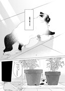 「手のひらねこ」第1話より。