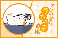 マンガ家“うちの子”自慢 第14回｜今井哲也