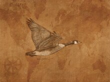 「世界逍遥録」カバーイラスト (c)ヤマザキマリ／KADOKAWA