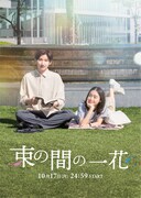 ドラマ「束の間の一花」メインビジュアル