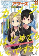 ヤングキングアワーズ11月号