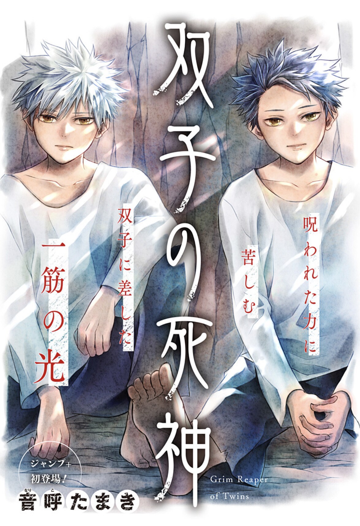他者の命を吸い取ってしまう、呪われた力を持つ双子に訪れた出会い描く読切