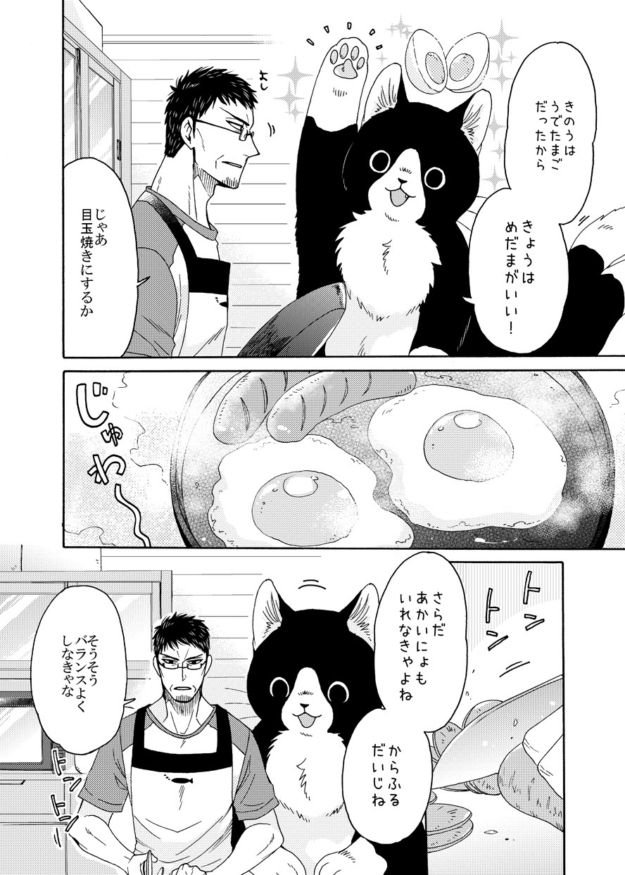 「ねこまたとあさごはん」より。